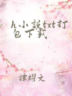 h小说txt打包下载
