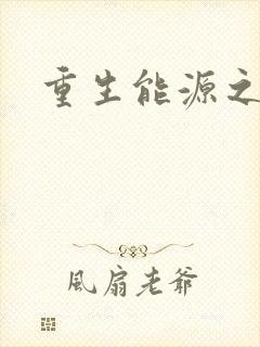 重生能源之王