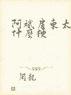 阿斌房东太太是什么梗