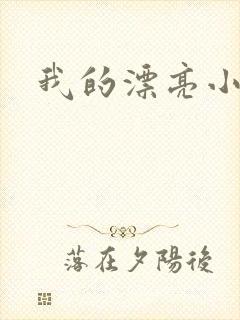 我的漂亮小后妈