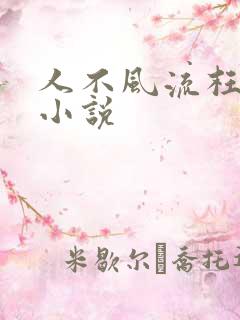 人不风流枉少年小说