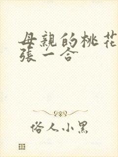 母亲的桃花源一张一合