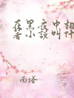 在黑夜中相拥原著小说叫什么