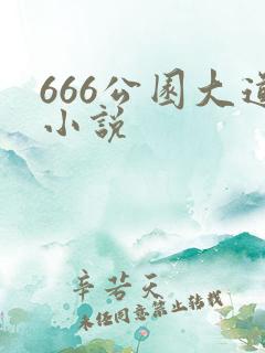 666公园大道小说