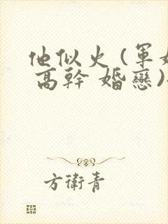 他似火 (军婚 高干 婚恋)全文在线阅读