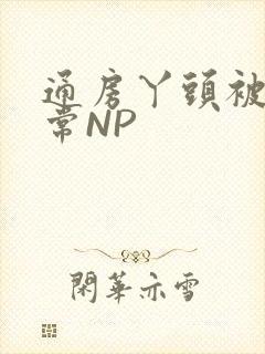 通房丫头被肉日常NP
