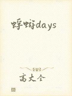 蜉蝣days