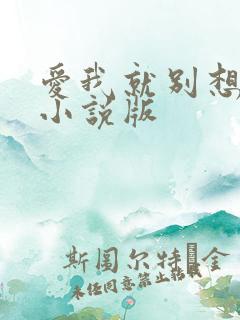 爱我就别想太多小说版