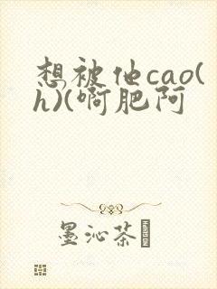 想被他cao(h)(啊肥阿