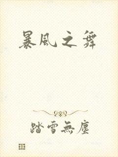 暴风之舞