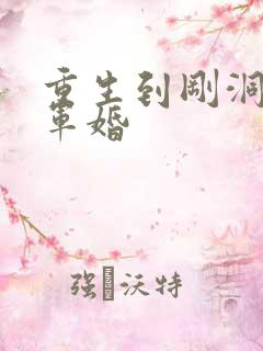 重生到刚洞房的军婚