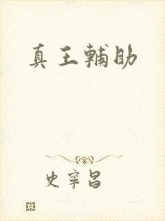 真王辅助