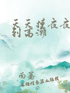 天天摸夜夜摸摸到高潮