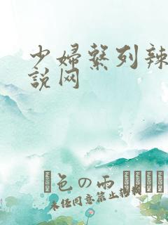 少妇系列辣文小说网