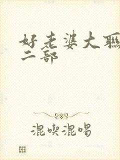 好老婆大联盟第二部