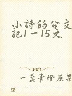 小诗的公交车日记1一15文