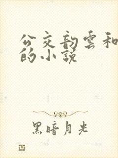 公交韵云和小健的小说