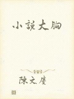 小说大胸