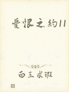 爱恨之约11