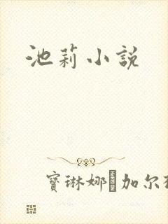 池莉小说