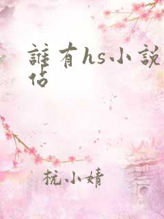 谁有hs小说网站