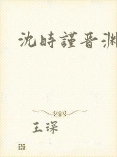 沈时谨晋渊小说