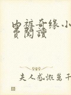 内裤奇缘小说免费阅读