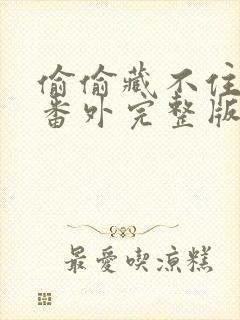 偷偷藏不住新婚番外完整版