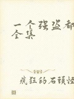 一个强盗都不留全集