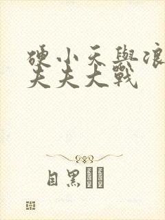 硬小天与浪小辉夫夫大战