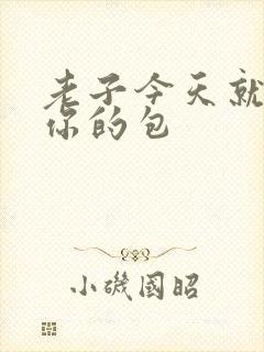 老子今天就要开你的包