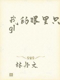 我的眼里只有你gl