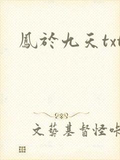 凤于九天txt