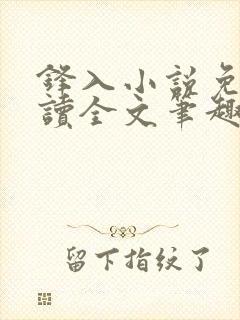 锋入小说免费阅读全文笔趣阁