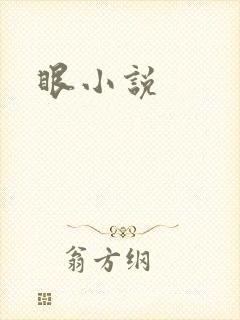 眼小说