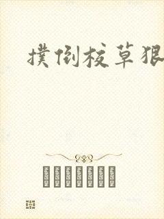 扑倒校草狠狠亲