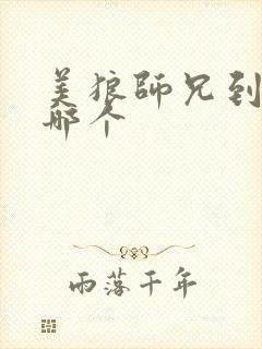 美狼师兄到底选哪个