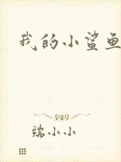 我的小鲨鱼