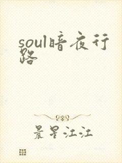 soul暗夜行路