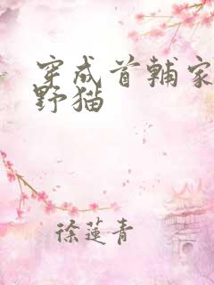 穿成首辅家的小野猫