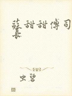 苏甜甜傅司衍机长