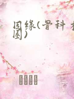 因缘(骨科 校园)