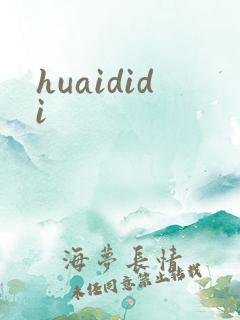 huaididi