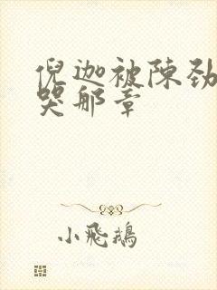 倪迦被陈劲生做哭那章