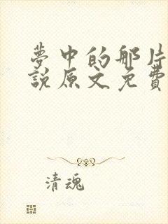 梦中的那片海小说原文免费阅读