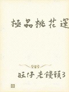 极品桃花运下载