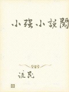 小强小说阅读网