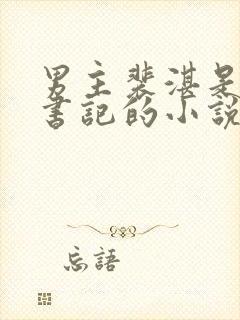 男主裴湛是省委书记的小说