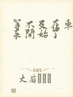 等不及在车里就来开始了