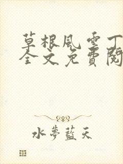 草根风云丁长生全文免费阅读